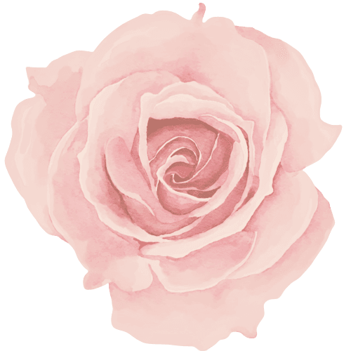 Watercolor Rose